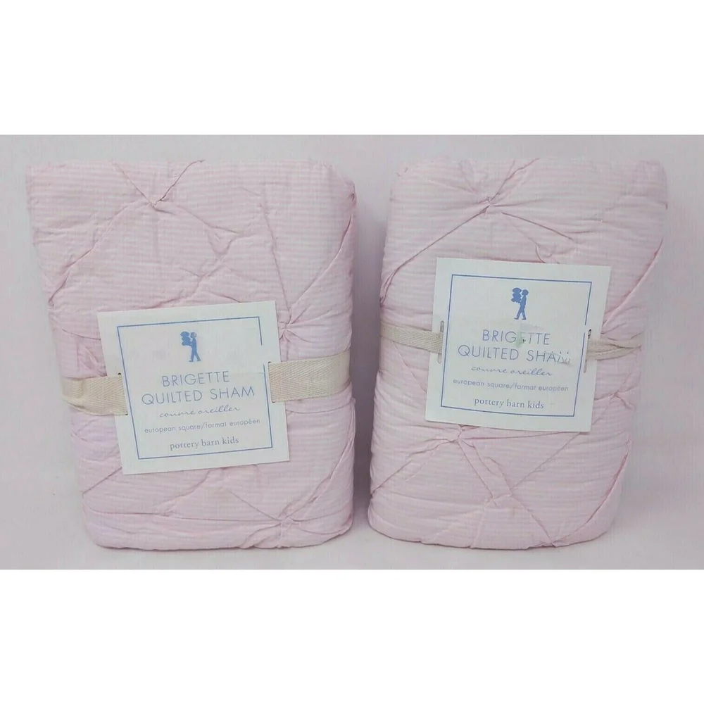 Pottery Barn Kids Brigette Ruffle Quilted Shams Pair 2‎ European Square 26